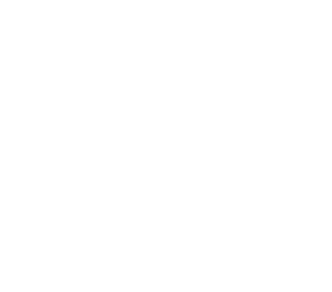 logo_white_transparent